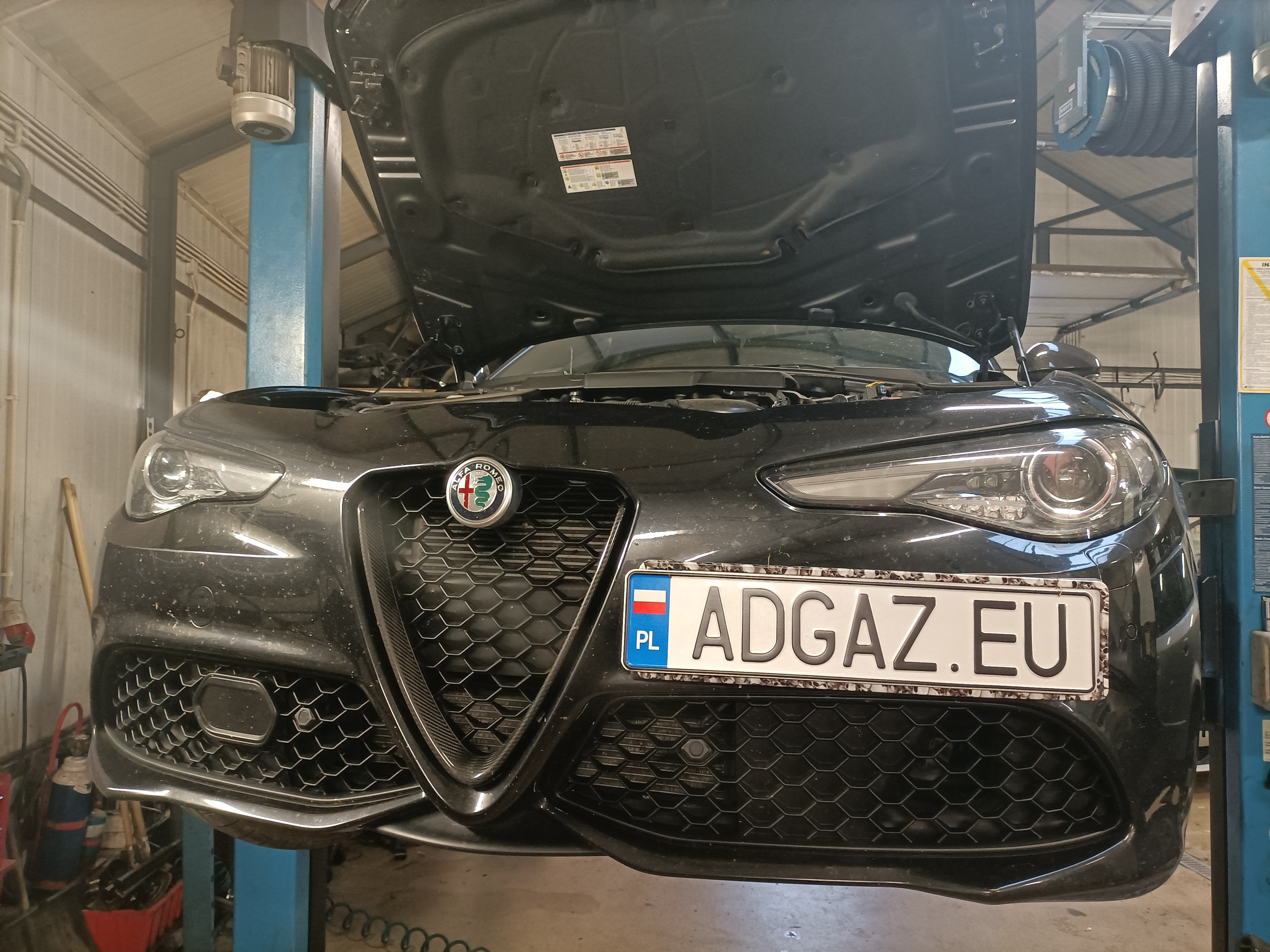 Alfa Romeo Gulia 